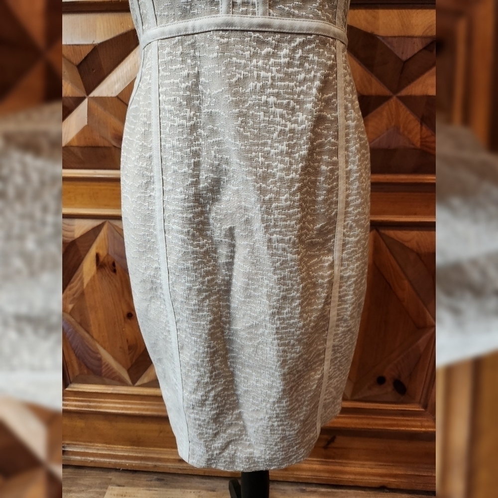 Calvin Klein Tan Sheath Dress Sz 4P - Picture 3 of 9